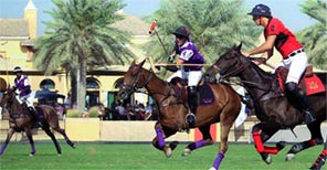 Dubai Polo & Equestrian Club